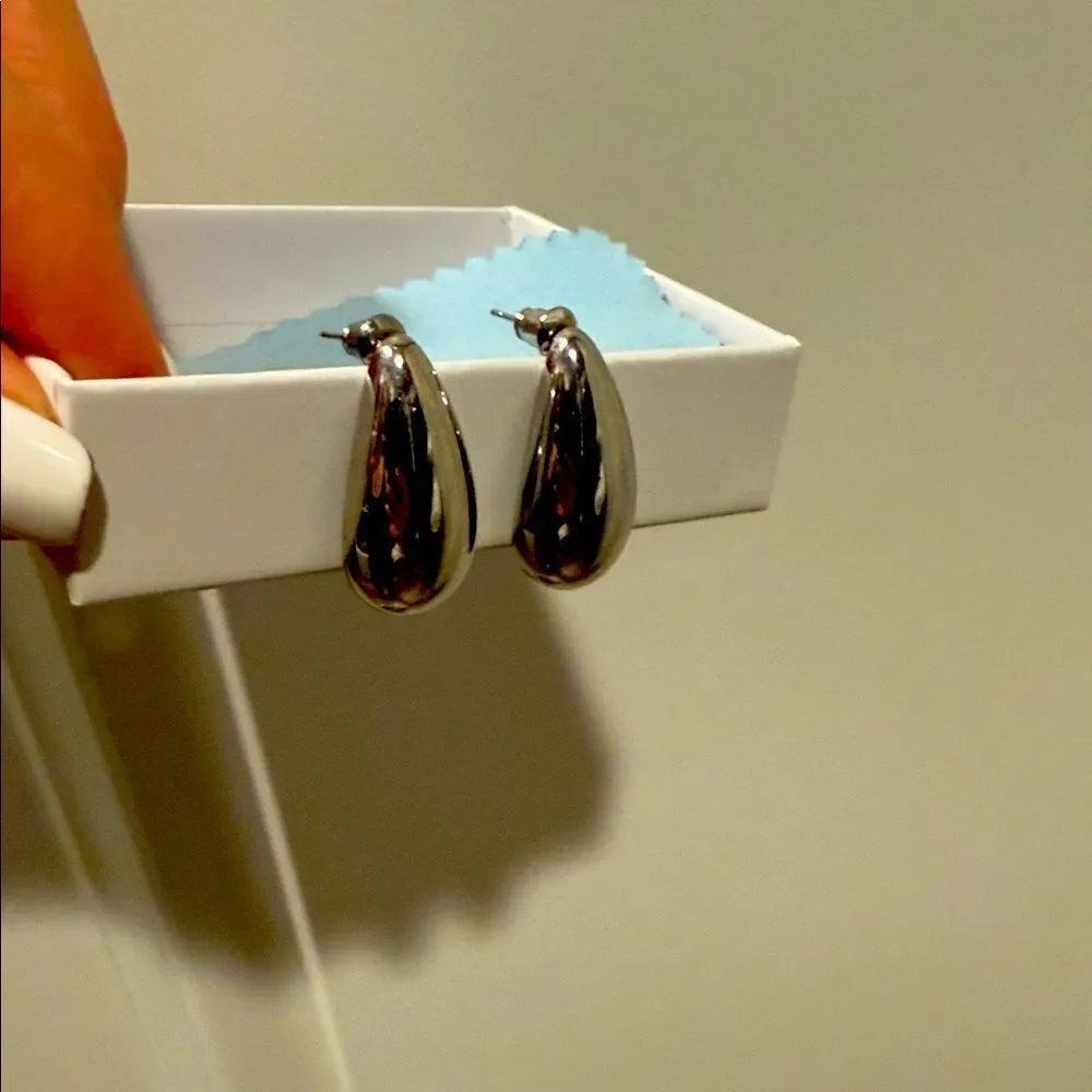 Elegant Silver Hoop Earrings